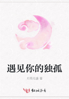 遇見你的獨孤在線閱讀