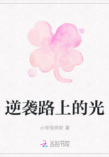 逆襲路上的光
