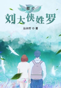 那個劉大俠姓羅