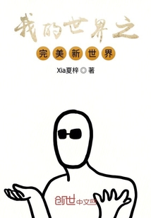 我的世界之完美新世界