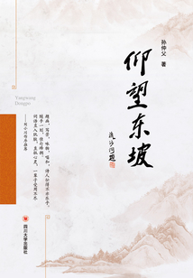 仰望東坡