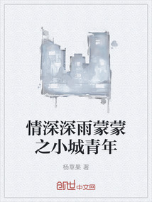 情深深雨蒙蒙之小城青年