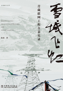 雪域飛虹：青藏聯網工程全景實錄