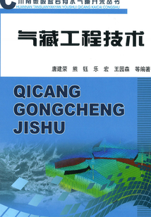 氣藏工程技術
