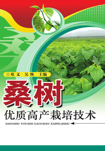桑樹優質高產栽培技術