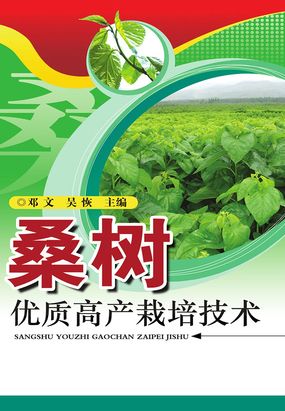 桑树优质高产栽培技术在线阅读