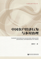 中国农户经济行为与乡村治理（文化发展学术文丛）在线阅读