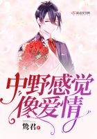 中野感覺像愛情在線閱讀
