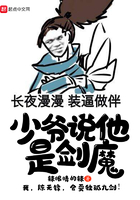 少爺說他是劍魔在線閱讀