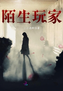 陌生玩家