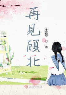 再見顧北