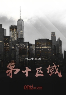 第十區(qū)域