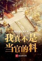 我真不是當官的料在線閱讀