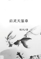 啟靈天鑒章在線閱讀