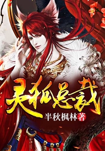 靈狐總裁