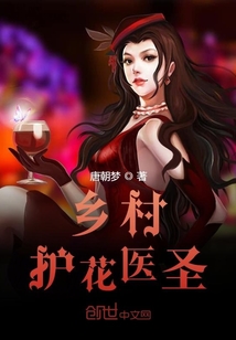 乡村护花医圣在线阅读