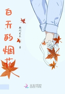 白天的煙花