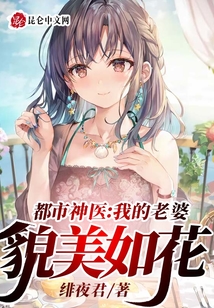 都市神醫(yī)：我的老婆貌美如花