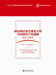 新結構經濟學視角下的中國知識產權戰略：理論與案例