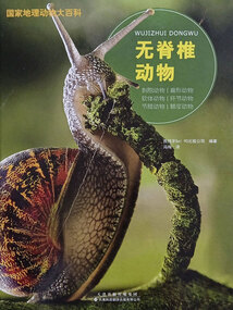 國家地理動物大百科：無脊椎動物