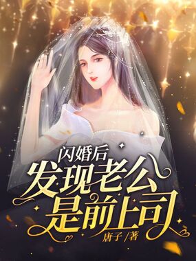 闪婚后发现老公是前上司在线阅读