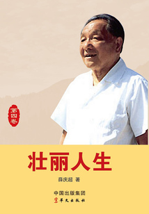 壮丽人生：第四卷