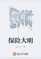 保險(xiǎn)大明在線閱讀