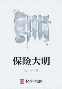 保险大明