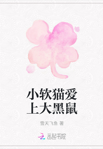 小軟貓愛上大黑鼠
