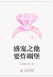 盛寵之他要炸碉堡