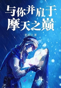 與你并肩于摩天之巔