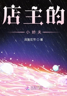 店主的小嬌夫