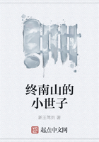 终南山的小世子在线阅读
