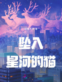 墜入星河的貓