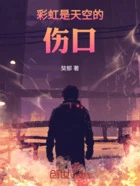 彩虹是天空的伤口在线阅读
