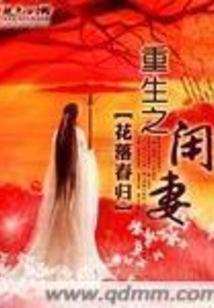 重生之閑妻