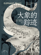 大象的踪迹在线阅读