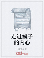 走进疯子的内心在线阅读