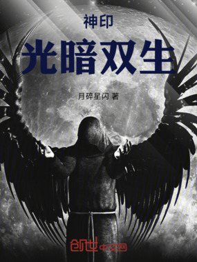 神印光暗双生在线阅读