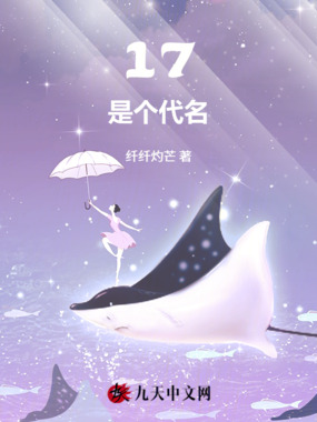 17是个代名在线阅读