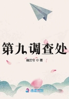 第九調(diào)查處在線閱讀