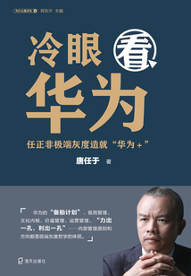 冷眼看華為：任正非極端灰度造就“華為+”