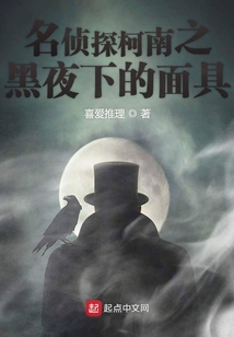 名偵探柯南之黑夜下的面具
