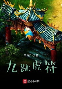 大宋探案录之九趾虎符