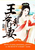 王爷诱妻在线阅读