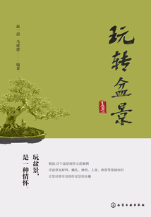 玩转盆景