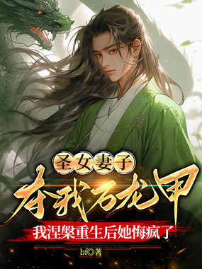 圣女妻子夺我万龙甲,我涅槃重生后她悔疯了在线阅读