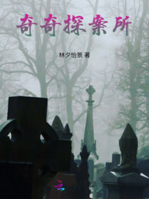 奇奇探案所