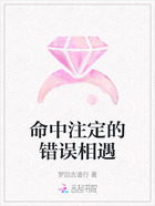 命中注定的错误相遇在线阅读