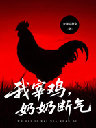我宰鸡,奶奶断气在线阅读